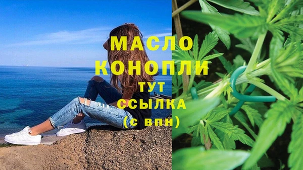 гидра Заволжск