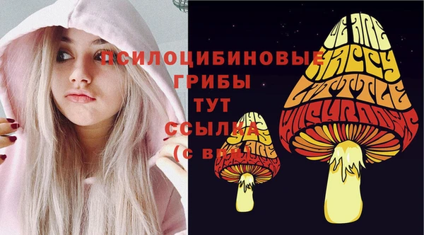 спиды Наволоки