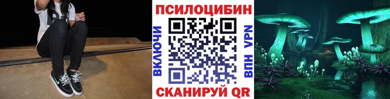Галлюциногенные грибы Psilocybine cubensis  Ряжск 